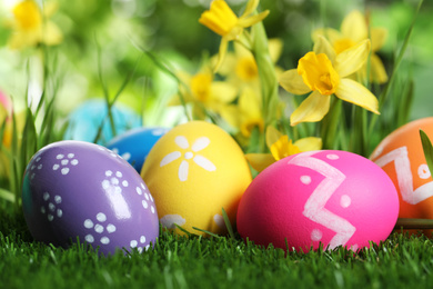 Photo of Colorful Easter eggs and daffodil flowers in green grass, closeup