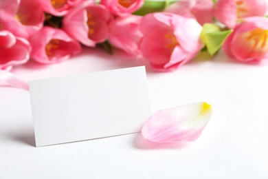 Beautiful spring tulips and blank card on white background, closeup with space for text. International Women's Day