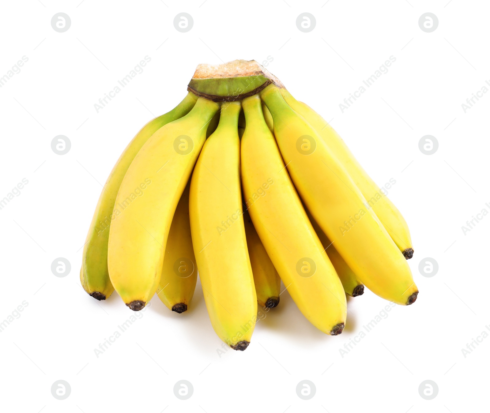 Photo of Sweet ripe baby bananas isolated on white