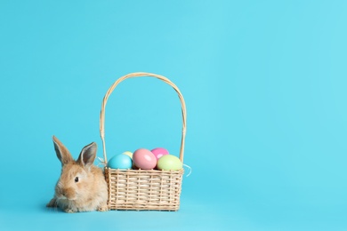 Adorable furry Easter bunny near wicker basket with dyed eggs on color background, space for text