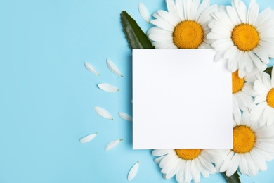 Beautiful floral composition with chamomile flowers and card on color background, top view