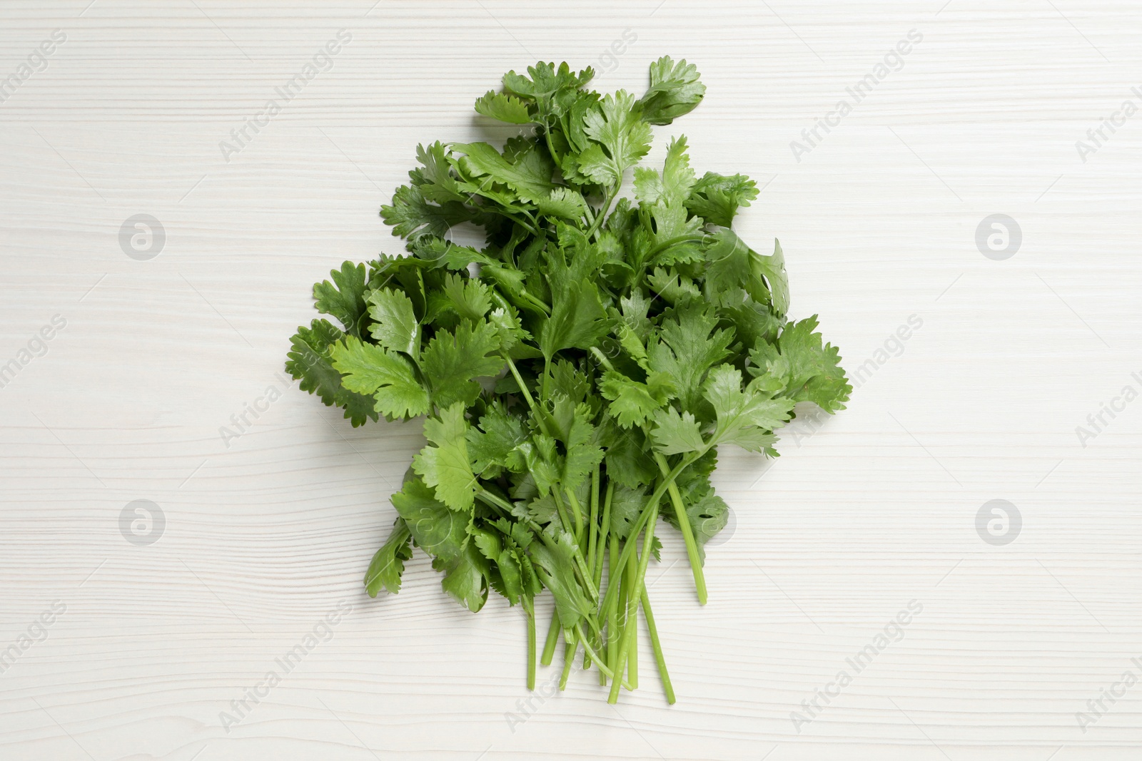 Photo of Bunch of fresh green cilantro on white wooden table, top view