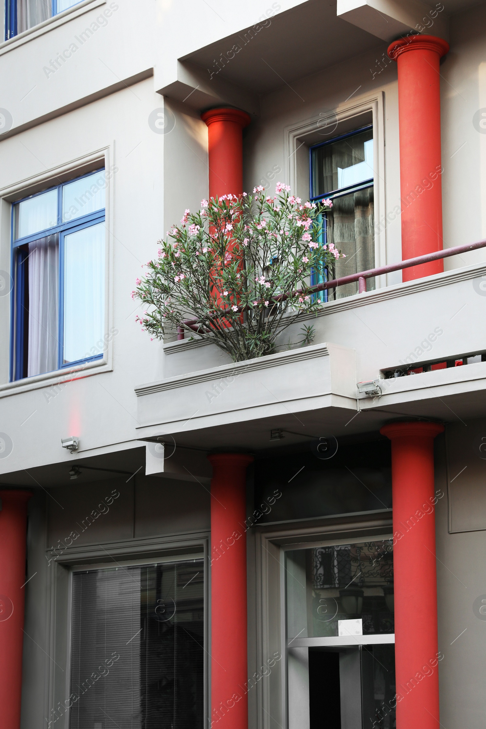 Photo of Exterior of beautiful residential building with flowers on balcony