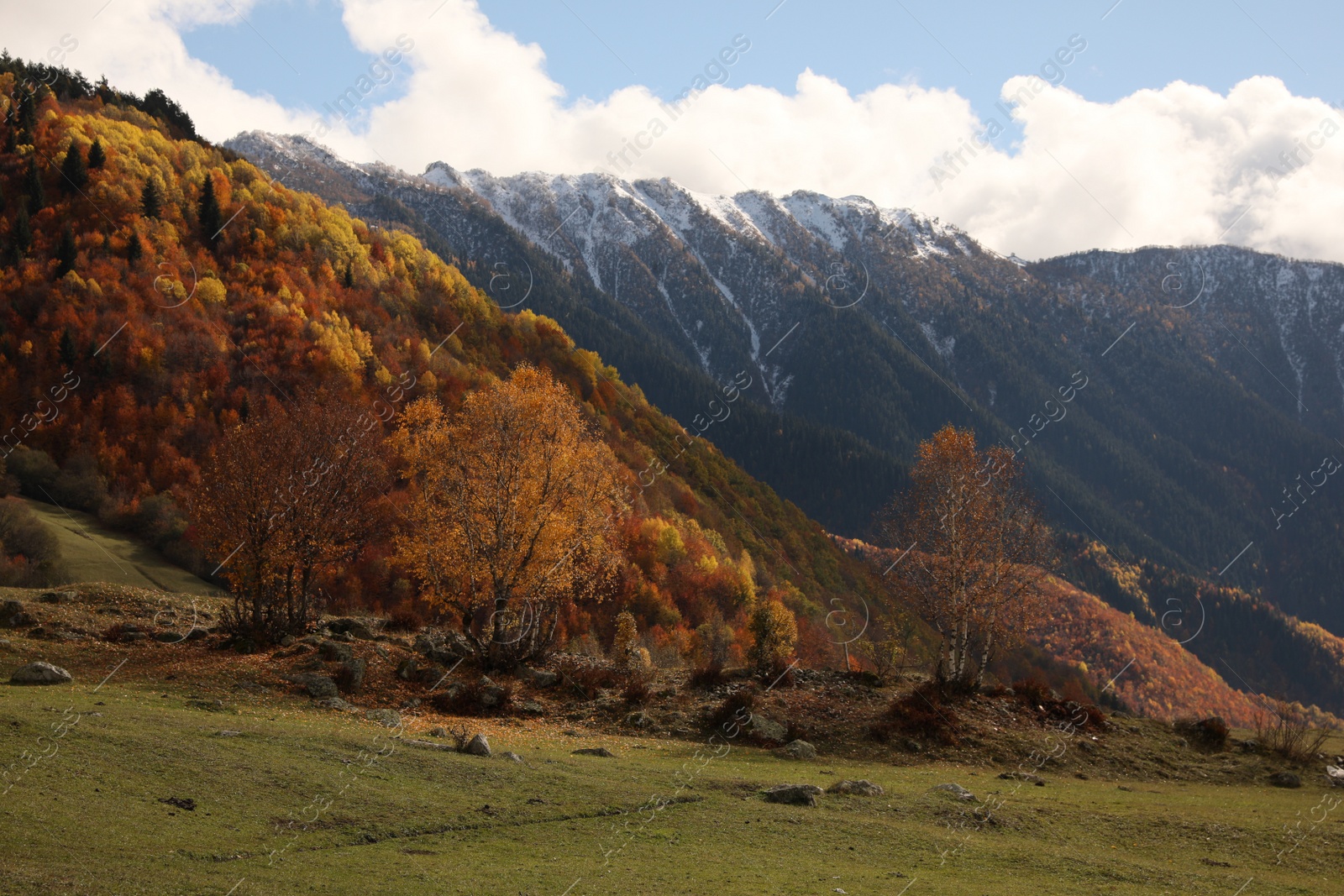 Photo of Picturesque view of mountain landscape with forest and meadow on autumn day