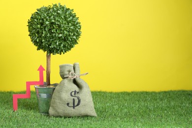 Bag with money, up arrow and tree against yellow background, space for text. Profit concept
