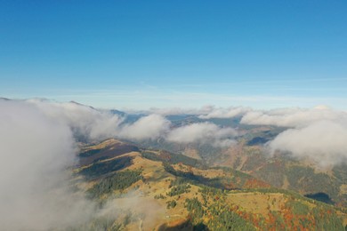 Photo of Aerial view of fluffy clouds over mountain forest