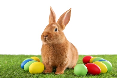 Cute bunny and Easter eggs on green grass against white background