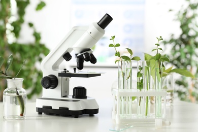 Photo of Glassware with plants and microscope on table against blurred background. Biological chemistry