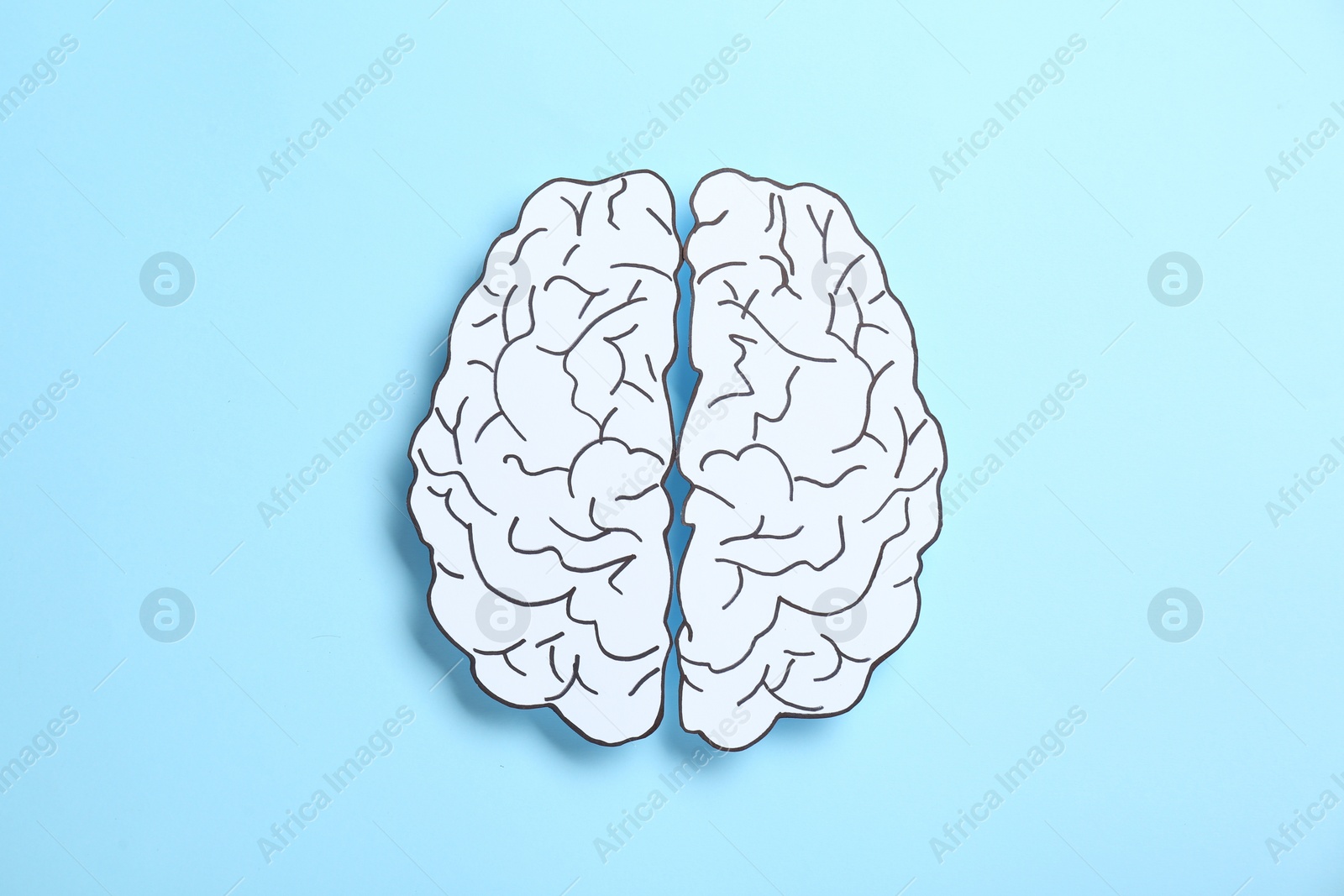 Photo of Paper brain hemispheres on light blue background, top view