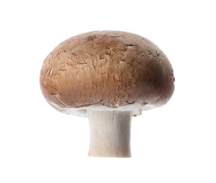 Fresh champignon mushroom isolated on white. Healthy food