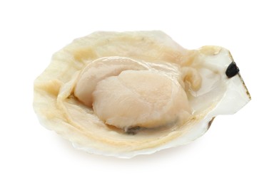 Photo of Fresh raw scallop in shell isolated on white