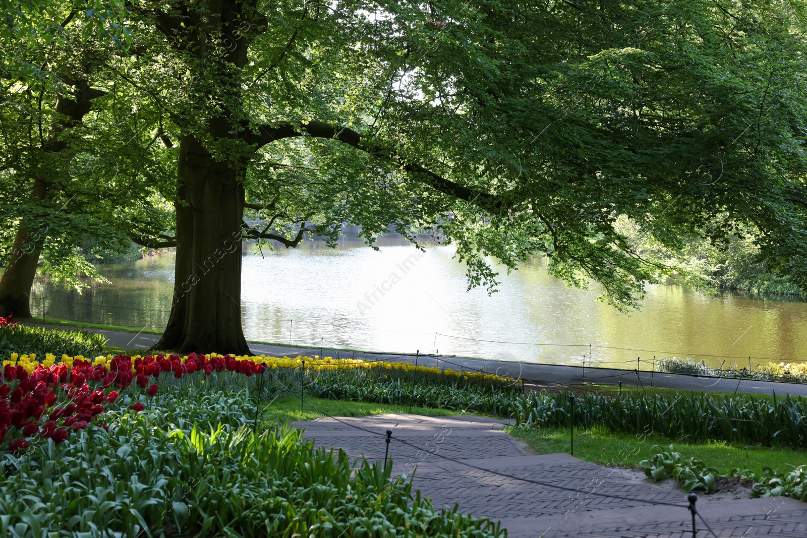 Photo of Pathway in park with green trees and beautiful flowers on sunny day. Spring season