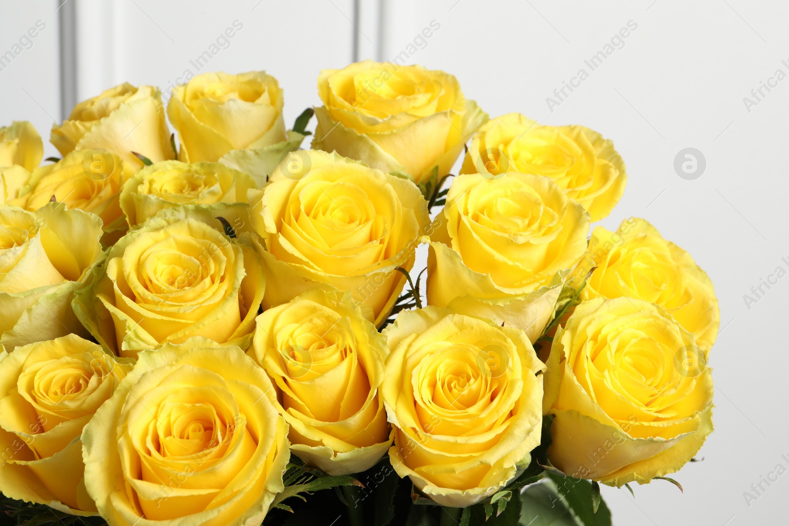 Photo of Beautiful bouquet of yellow roses near white wall, closeup