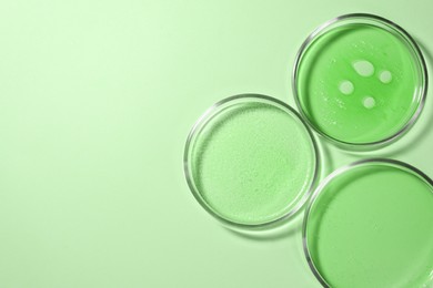 Image of Petri dishes with different samples on light green background, top view. Space for text. Laboratory glassware