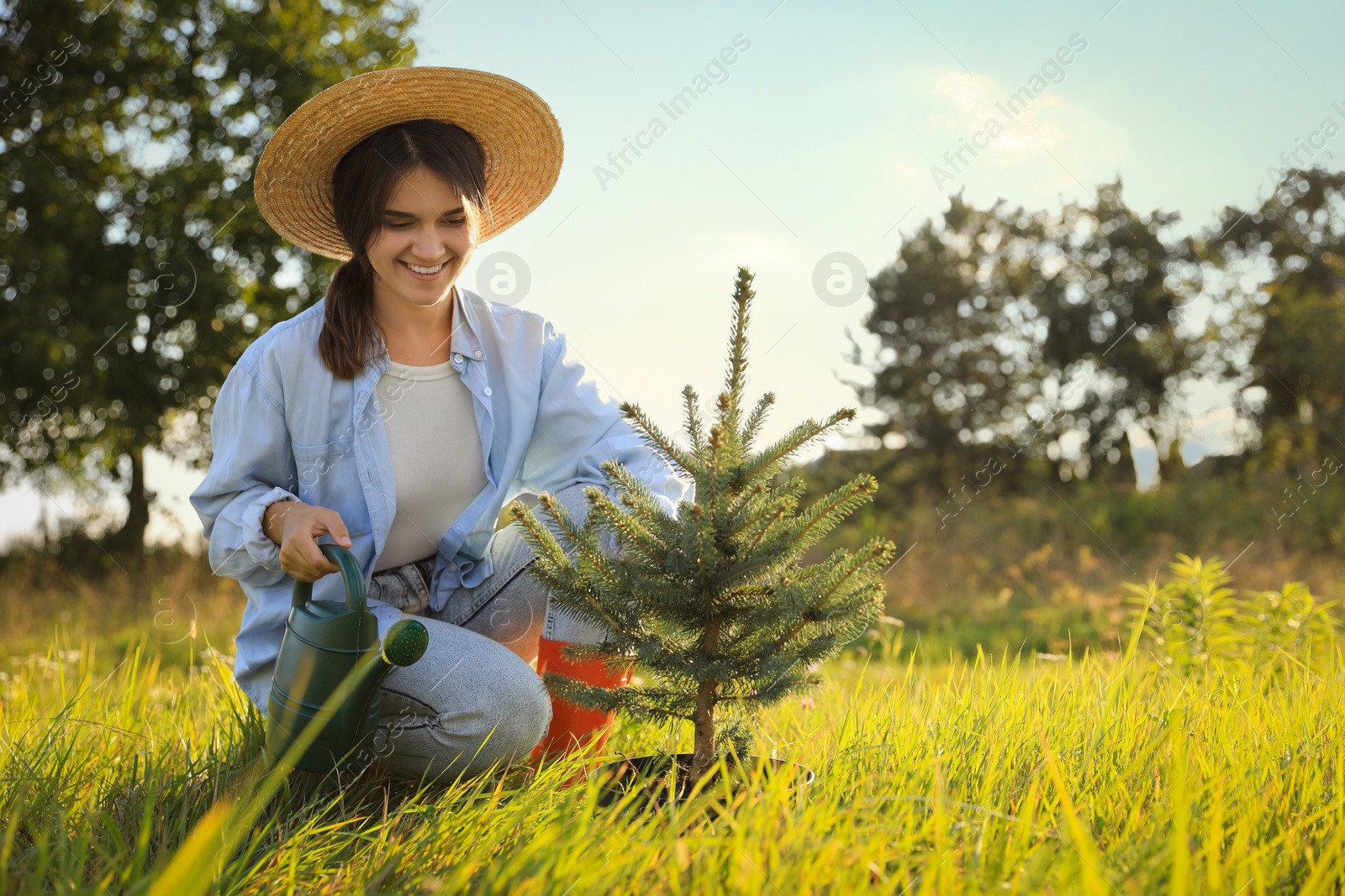 Photo of Woman with watering can near conifer tree in meadow on sunny day