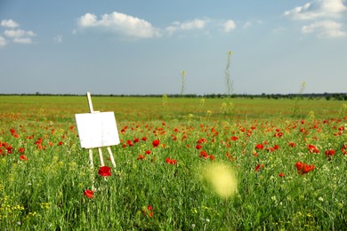 Wooden easel with blank canvas in poppy field on sunny day