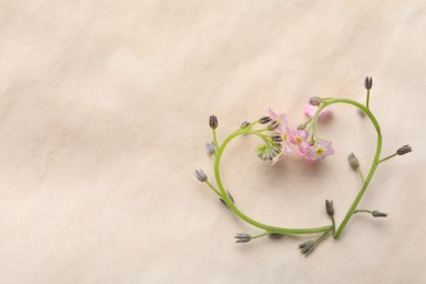 Heart of beautiful pink forget-me-not flowers on light background, flat lay. Space for text