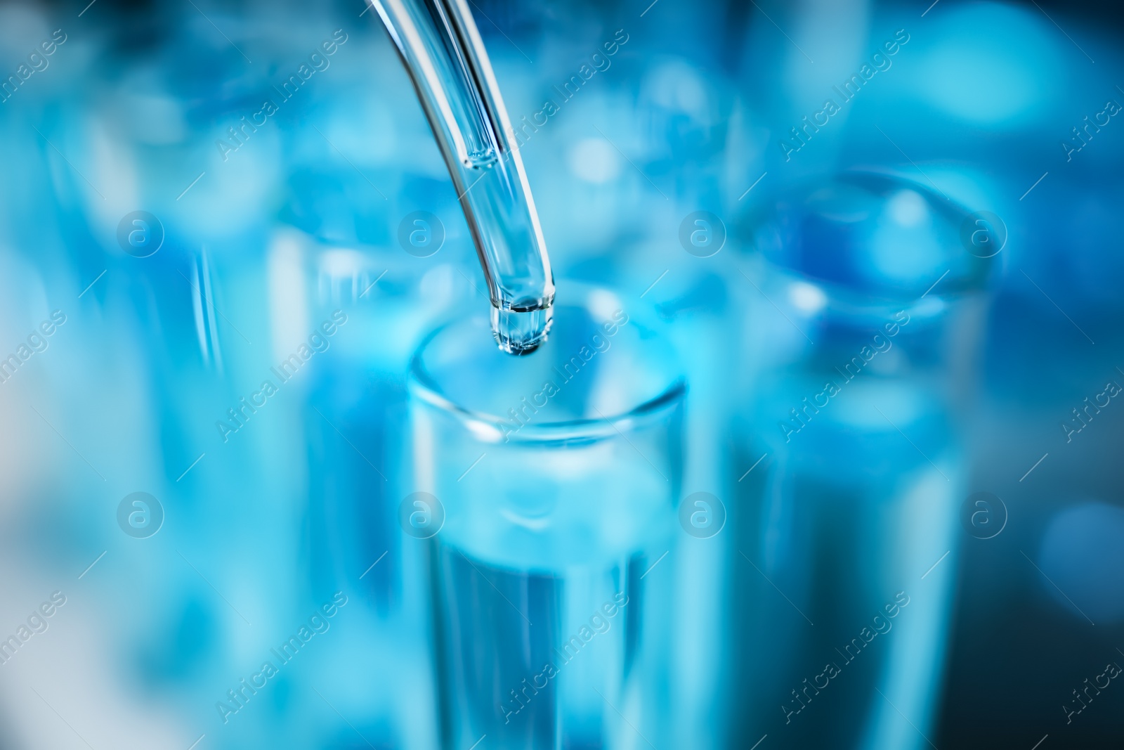 Photo of Dripping liquid into test tube, closeup. Solution chemistry