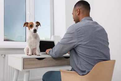 Photo of Young man with Jack Russell Terrier working at desk in home office