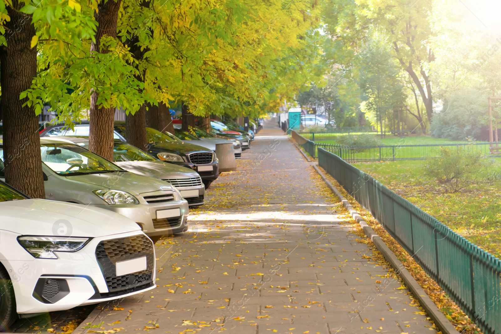 Photo of Pavement with tiles and grass outdoors. Sidewalk covering