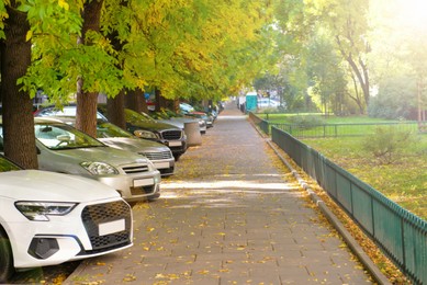 Photo of Pavement with tiles and grass outdoors. Sidewalk covering