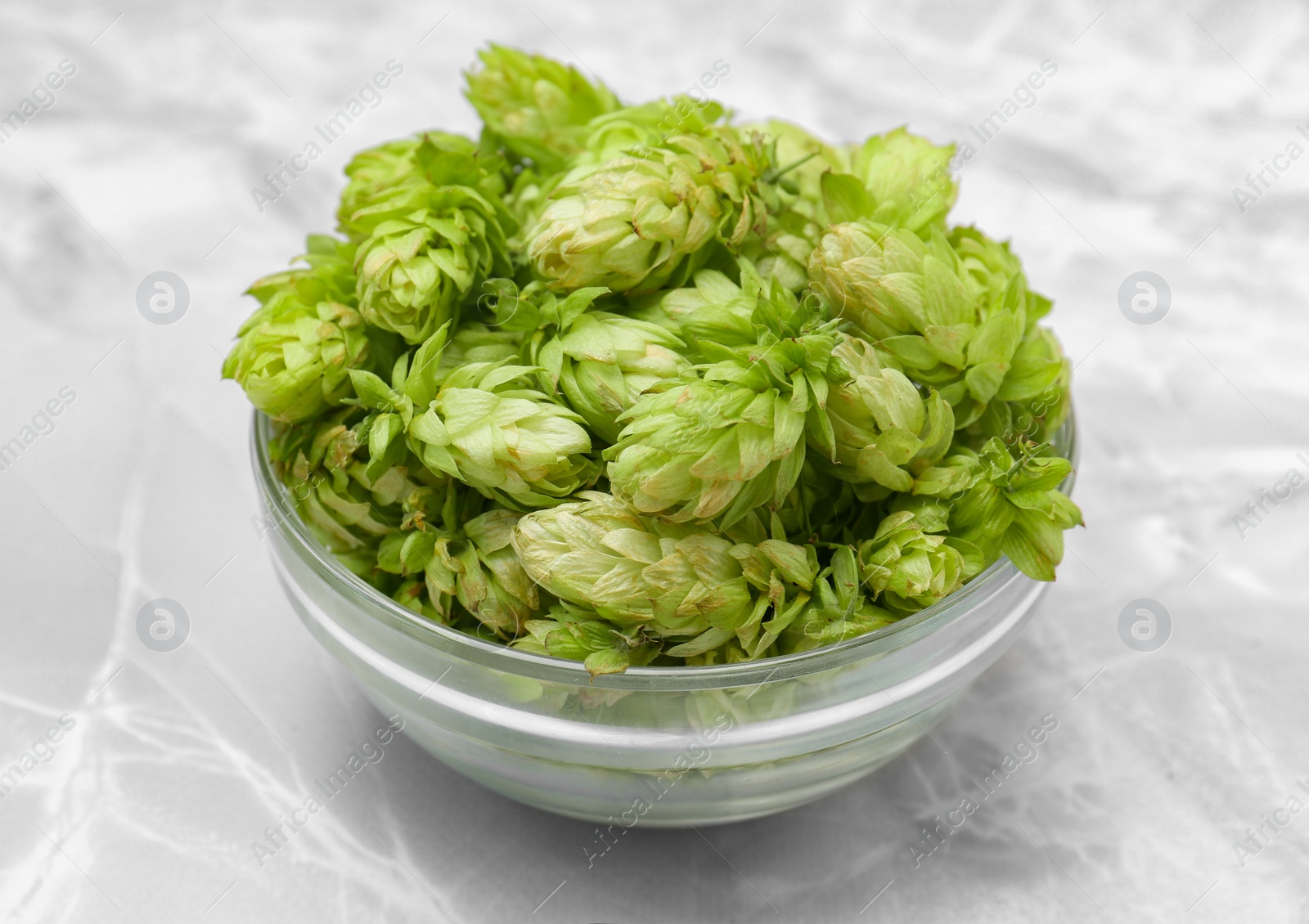 Photo of Bowl of fresh green hops on light grey marble table, closeup