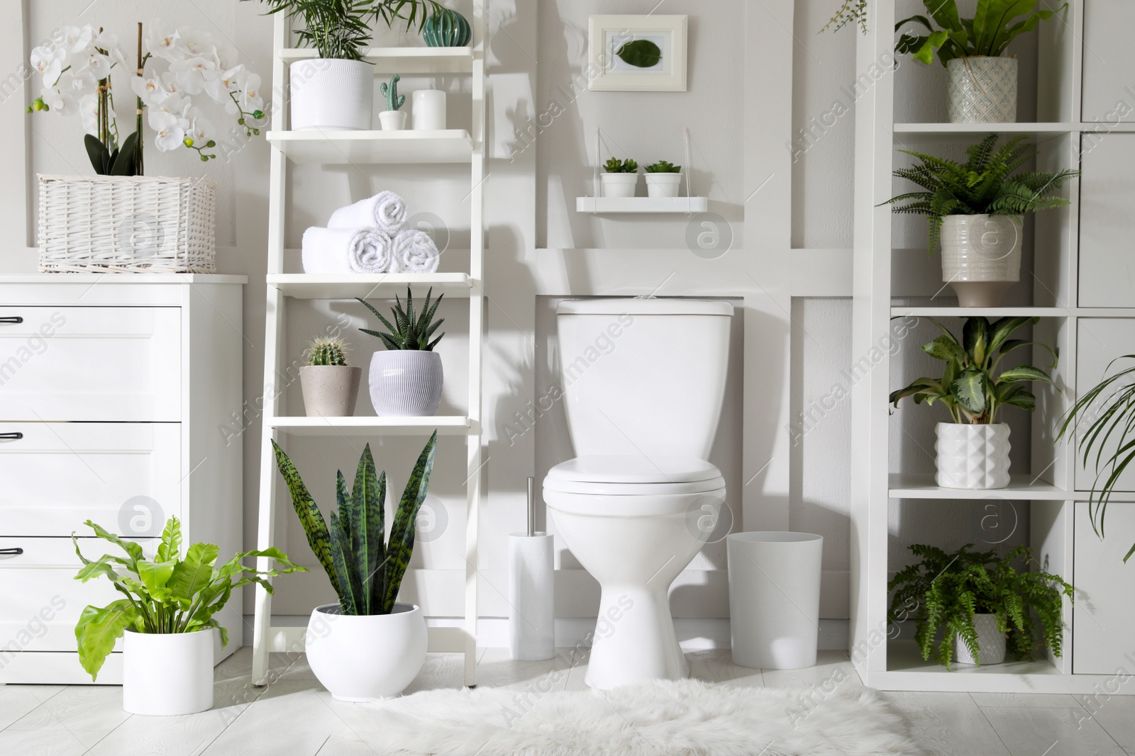 Photo of Stylish bathroom interior with toilet bowl and many beautiful houseplants