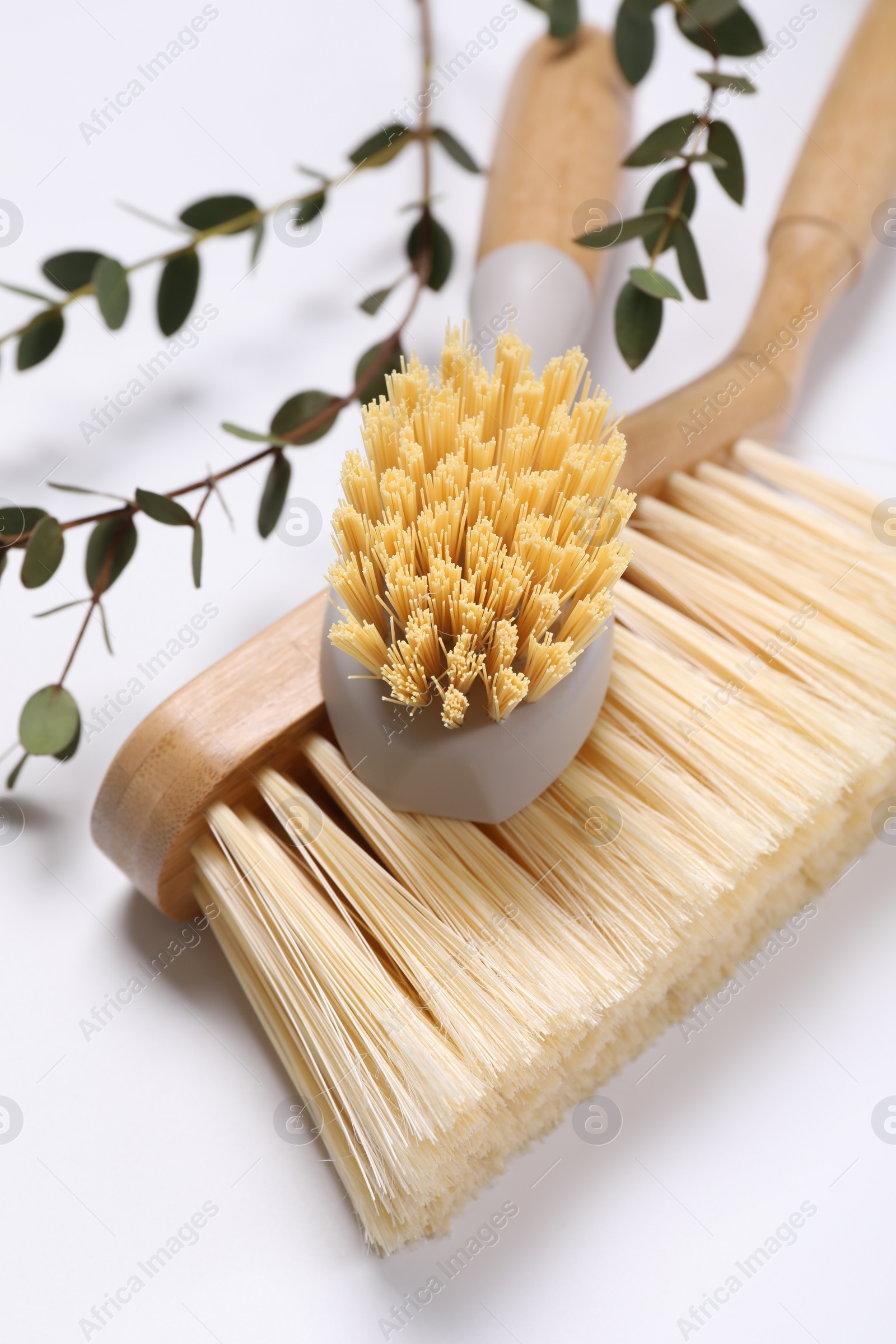 Photo of Cleaning brushes and eucalyptus leaves on white background