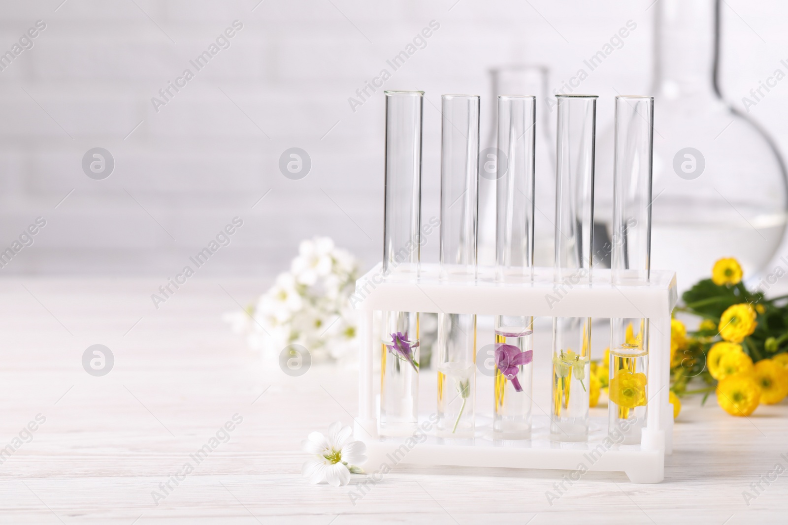 Photo of Test tubes with different flowers on white wooden table, space for text. Essential oil extraction