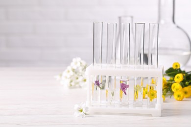 Photo of Test tubes with different flowers on white wooden table, space for text. Essential oil extraction