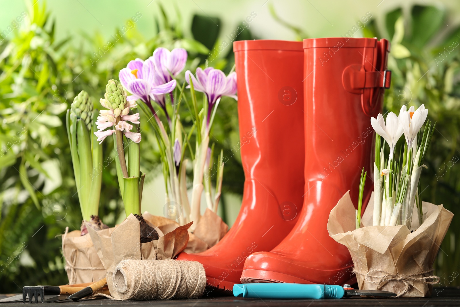 Photo of Blooming flowers and gardening equipment on table outdoors