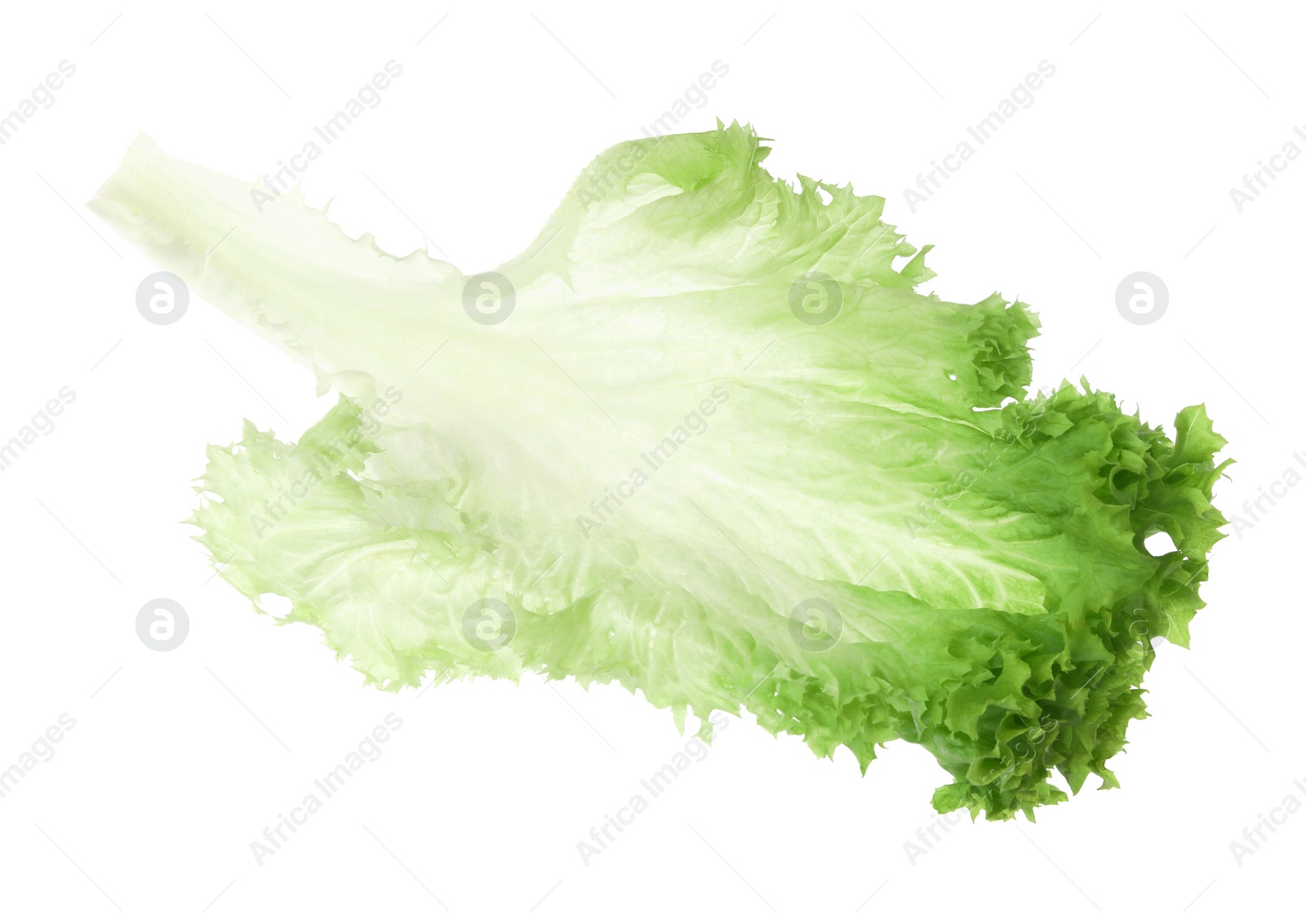 Photo of Fresh green lettuce leaf isolated on white