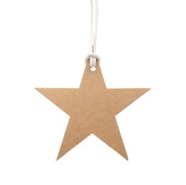 Photo of Star shaped cardboard gift tag with space for text isolated on white