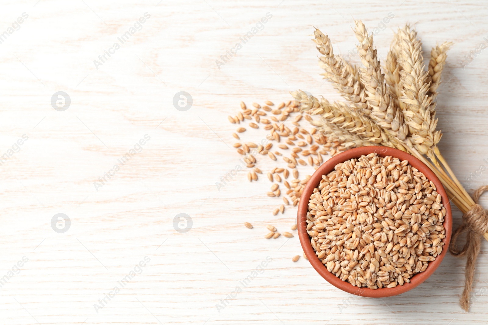 Photo of Wheat grains in bowl and spikes on white wooden table, flat lay. Space for text