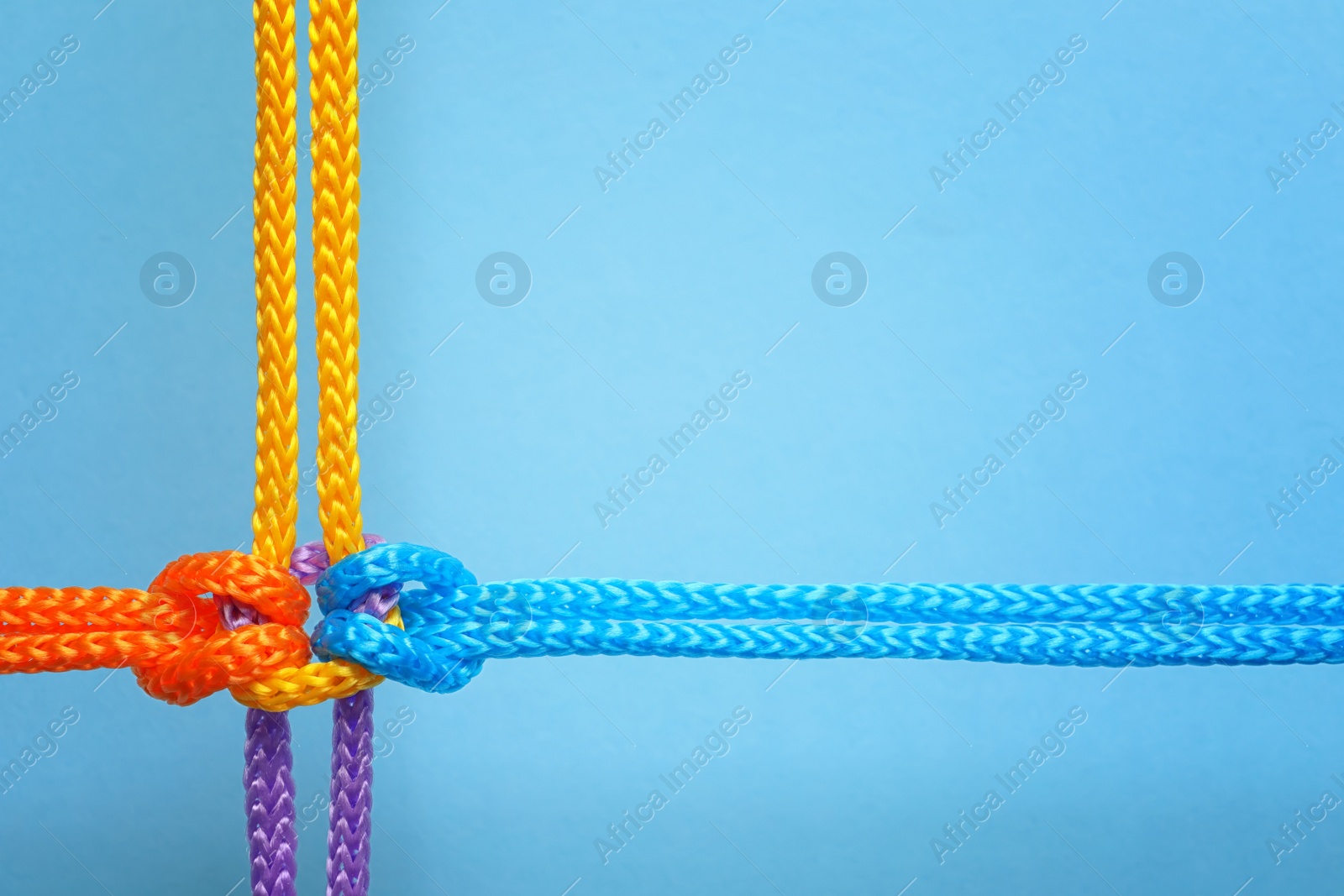 Photo of Different ropes tied together with knot on color background. Unity concept