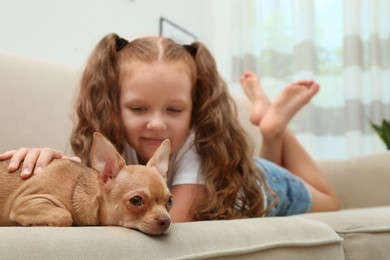 Photo of Cute little child with her Chihuahua dog on sofa at home. Adorable pet