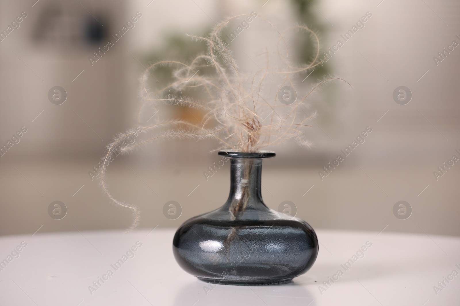 Photo of Vase with dried plant on white table in room