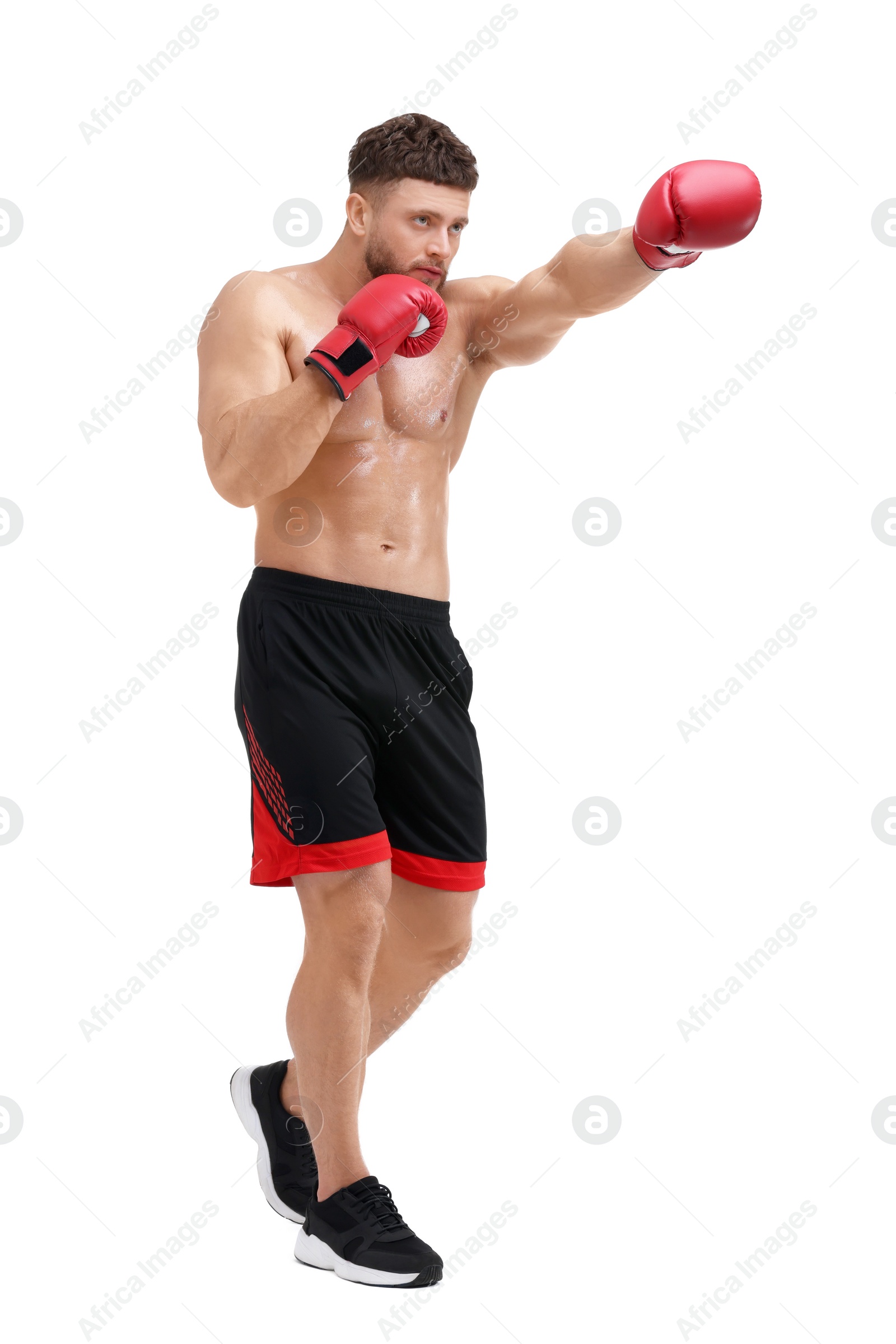 Photo of Man in boxing gloves fighting on white background