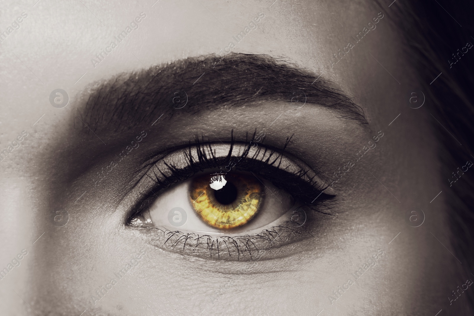 Image of Beautiful woman with rare eye color, closeup