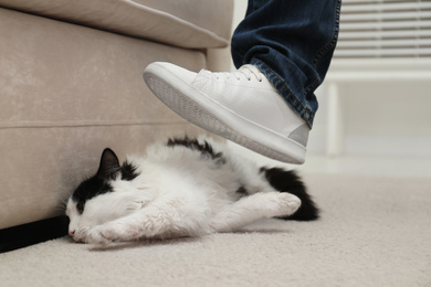 Photo of Man kicking cat at home, closeup of leg. Domestic violence against pets