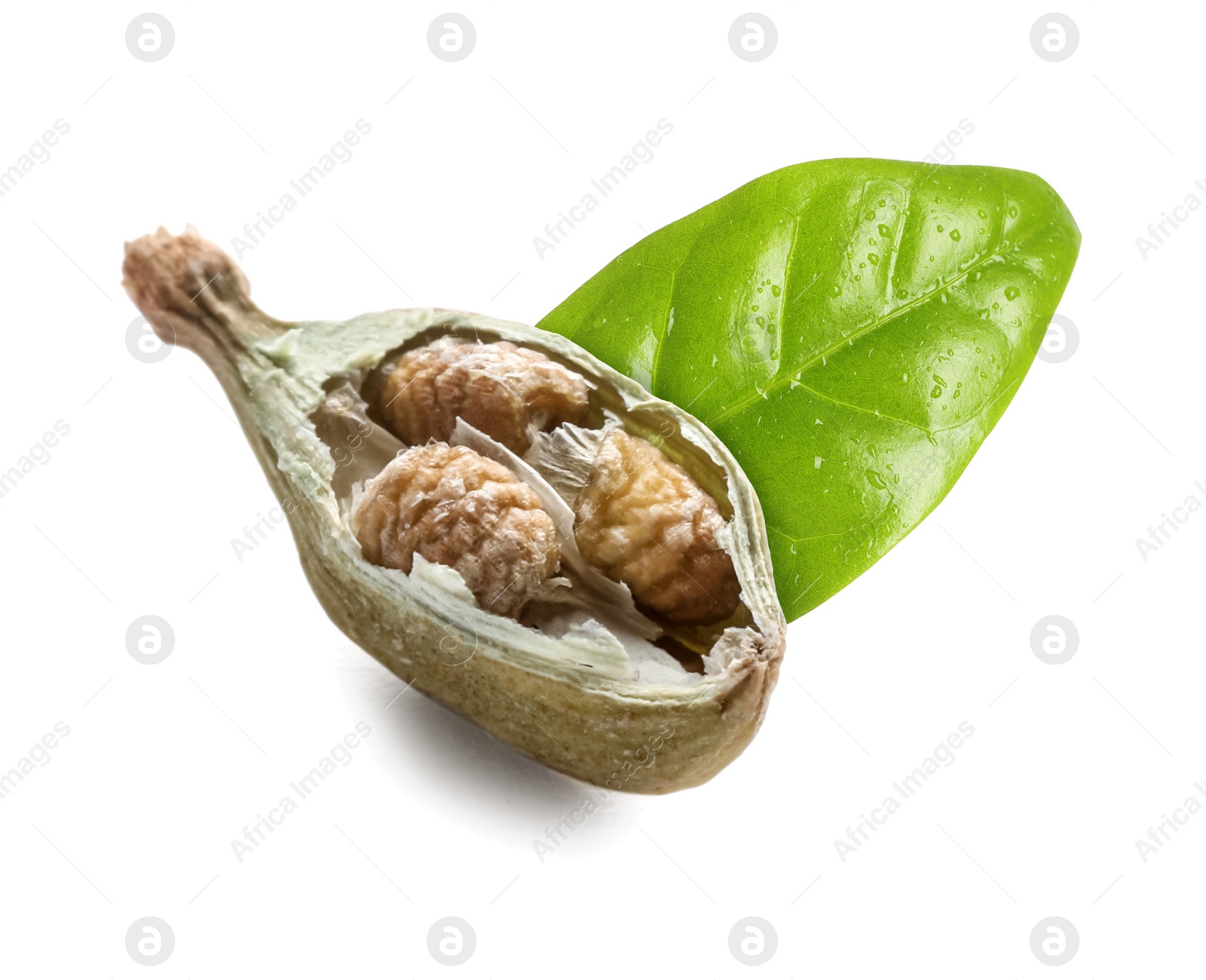 Image of Dry cardamom pod and green leaf on white background