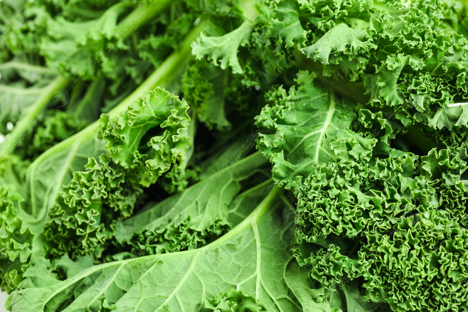 Photo of Fresh green kale leaves as background, closeup