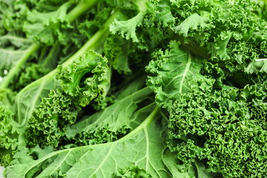 Fresh green kale leaves as background, closeup