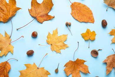 Photo of Flat lay composition with autumn leaves on blue background