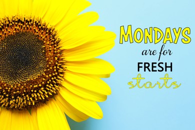 Motivational quote Mondays are for Fresh Starts and beautiful sunflower on turquoise background, top view