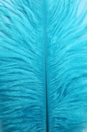 Photo of Beautiful light blue feather as background, closeup