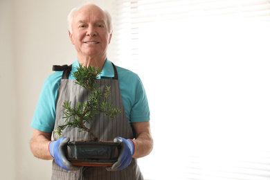 Photo of Senior man with Japanese bonsai plant indoors, space for text. Creating zen atmosphere at home