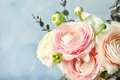 Beautiful spring ranunculus flowers on color background, closeup. Space for text