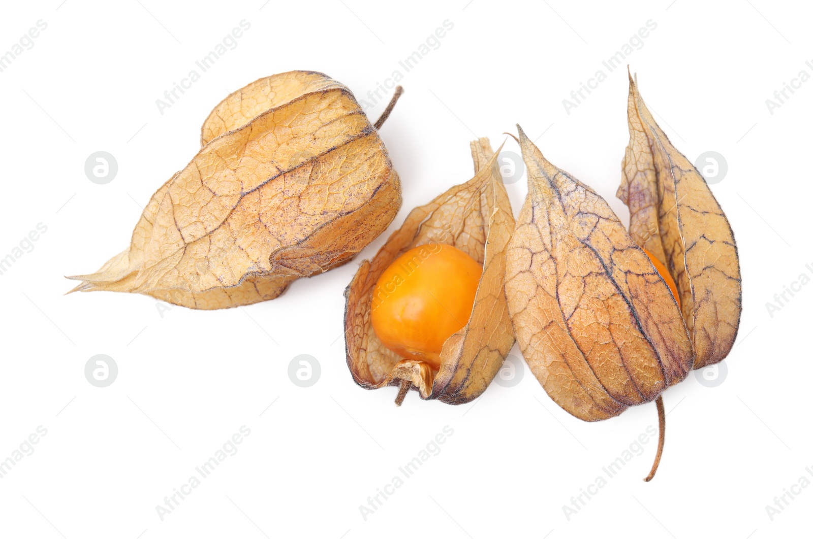 Photo of Ripe physalis fruits with calyxes isolated on white, top view