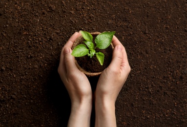Photo of Woman holding pot with seedling on soil, top view
